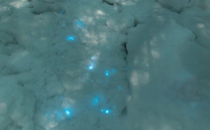 Un fenomen unic în Antarctica - Zăpada care strălucește