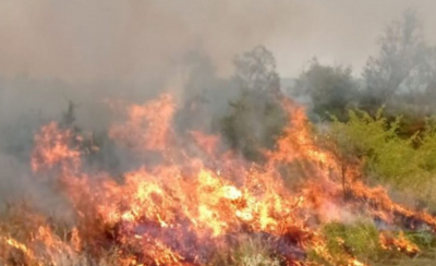 10 hectare de vegetație, distruse de un incendiu, la Vaslui