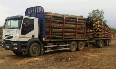 Jumătate dintre transporturile de lemn efectuate în județul Neamț, ilegale!