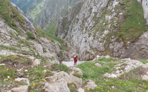 Bărbat dat dispărut în Munții Făgăraș