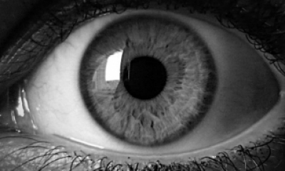 Operația care va schimba lumea: Medicii din Italia au făcut primul implant de retină artificială care redă vederea celor pe care să orbească