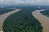   Amazonul brazilian, pe cale de dispariție
