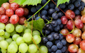 Un sfert din vinurile importate în România sunt din Republica Moldova