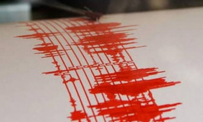 INFP: În orice moment se poate produce un cutremur cu magnitudine mai mare de 7 în zona seismică Vrancea 