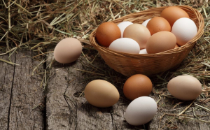 Criză de ouă în Germania
