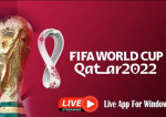 CM 2022 Qatar: Echipele calificate în optimi din Grupele A și B