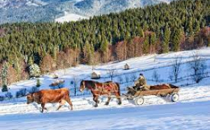 Bucovina, una din cele mai căutate destinaţii de Crăciun. 98% din locurile de cazare fiind deja rezervate