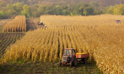 România are terenuri arabile mai scumpe decât Franța