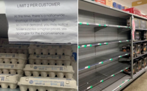 S-a trecut la raționalizarea ouălor. Din cauza gripei aviare și a consecințelor războiului din Ucraina prețul a explodat în lume