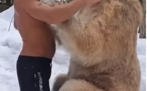 VIDEO - Cum arată prietenia dintre un rus și un urs