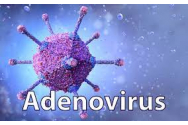 Adenovirusul face tot mai multe victime în rândul