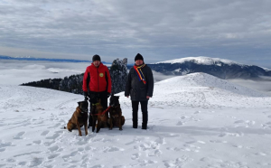  Câinii Erik şi Yan, salvatori în situații de avalanșă, la Suceava