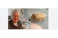 O englezoaică a găsit o broască în punga cu banane