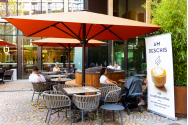  True Fine Coffee aduce în Palas Campus un nou tip de cafenea, ce îmbină design-ul minimalist cu aromele bogate