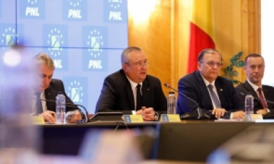 Deputații Vîlceanu și Pecingină vor fi excluși din PNL: 'Să zburde în afara partidului!', a cerut Nicolae Ciucă