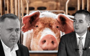 Guvernul interzice vânzarea porcilor din gospodăriile românilor printr-o portiţă legislativă