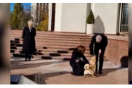 Preşedintele Austriei a fost muşcat de câinele Maiei Sandu: Nu e chiar atât de rău