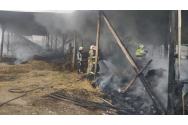 Incendiu la o fermă din Brăila. 100 de animale au fost arse de vii
