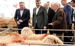 Cornel Nistorescu: „Cu tripleta Ciolacu, Barbu şi Boloş, orice fermă, de la găini la bivoliţe, ar da faliment la prima încercare”
