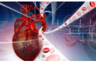 Bolile cardiovasculare generează peste 50% din mortalitatea generală din România