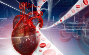 Bolile cardiovasculare generează peste 50% din mortalitatea generală din România