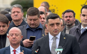 Febra AUR-ului - Deputatul Ostaficiuc şi eurodeputatul Ciuhodaru au plecat din PSD