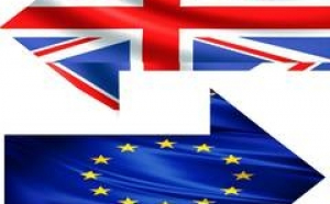 Deputatii britanici urmeaza sa dea unda verde Brexit-ului pe 31 ianuarie