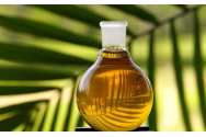 ING, acuzată că finanțează industria uleiului de palmier