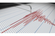 Reguli esenţiale în caz de cutremur: ce trebuie să ştii să faci când se produce un seism!