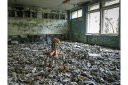 Ciuperci care ”mănâncă” radiații, descoperite la Cernobîl