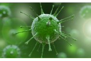 Coronavirus: reinfectarea, infinit mai periculoasă și fatală