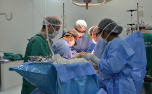 Peste 500 de moldoveni aşteaptă un transplant de rinichi!